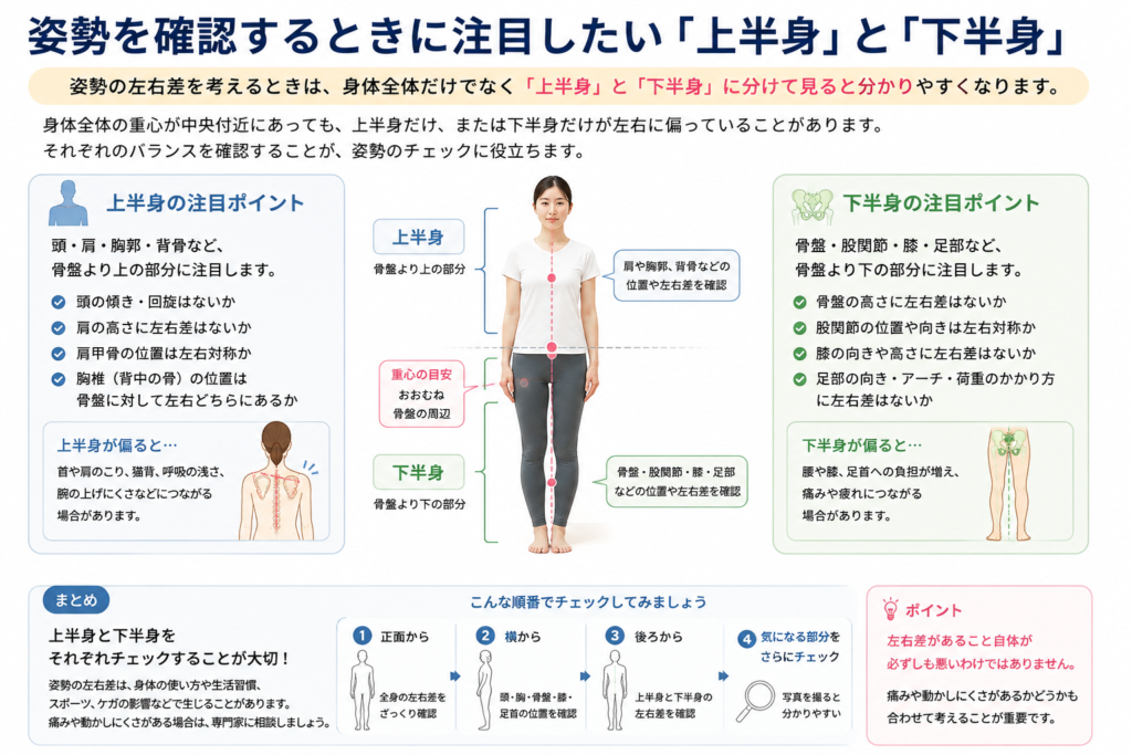 上半身と下半身の注目ポイント