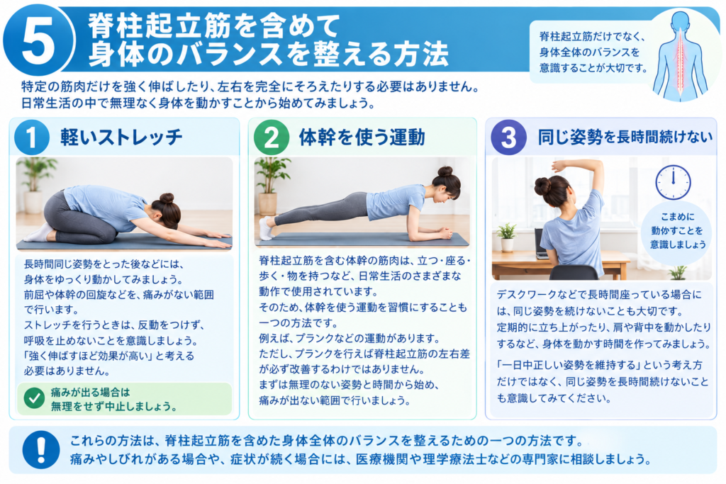 脊柱起立筋を含む身体のバランスを整えるためのストレッチや体幹運動、姿勢の工夫