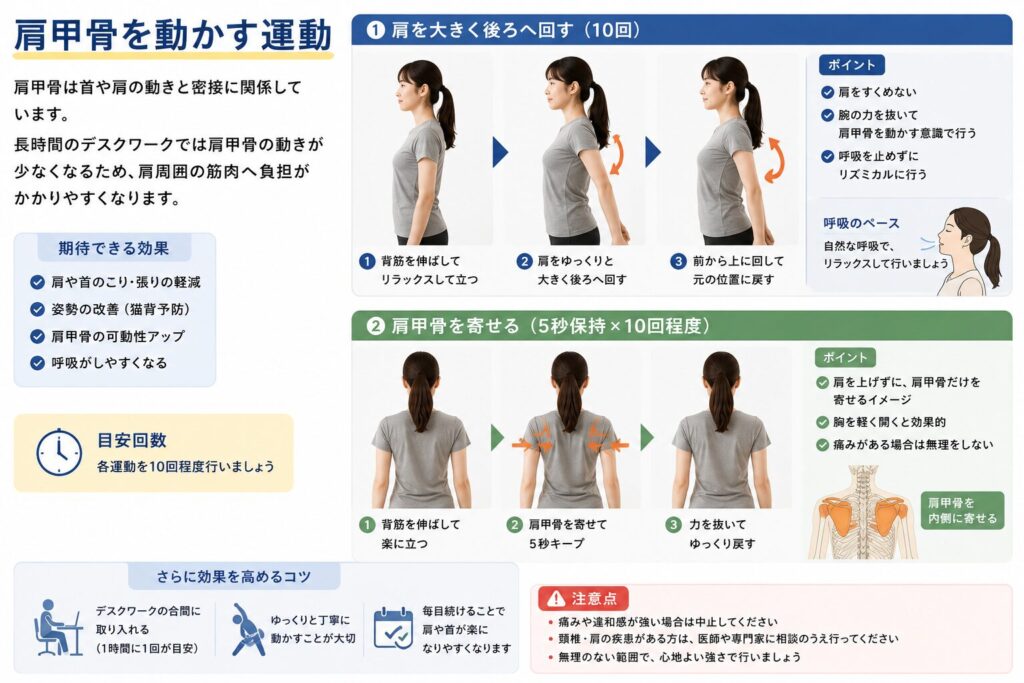 肩甲骨を動かす運動についてまとめている。