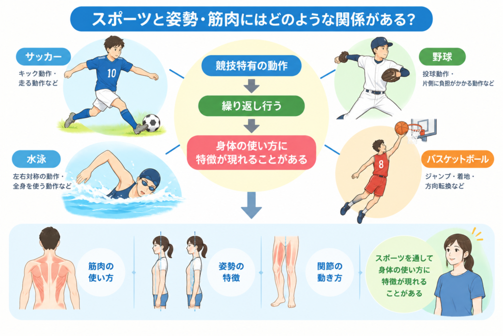 スポーツの競技特有の動作と姿勢や筋肉など身体の使い方の関係を示したイラスト