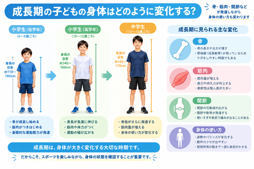 成長期の子どもの全身＋骨・筋肉の成長を示すイラスト