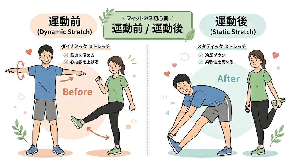 運動前と運動後のストレッチの違い
