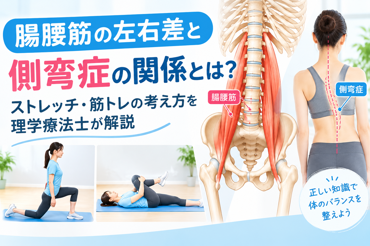 腸腰筋の左右差と側弯症の関係を示す解剖図とストレッチ・筋力トレーニングのイメージ