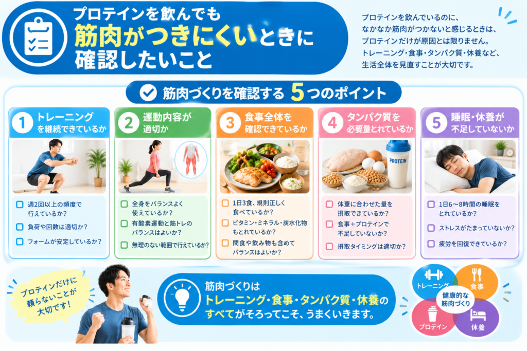 筋肉づくりで確認したいトレーニング・食事・タンパク質・睡眠・休養のチェック項目