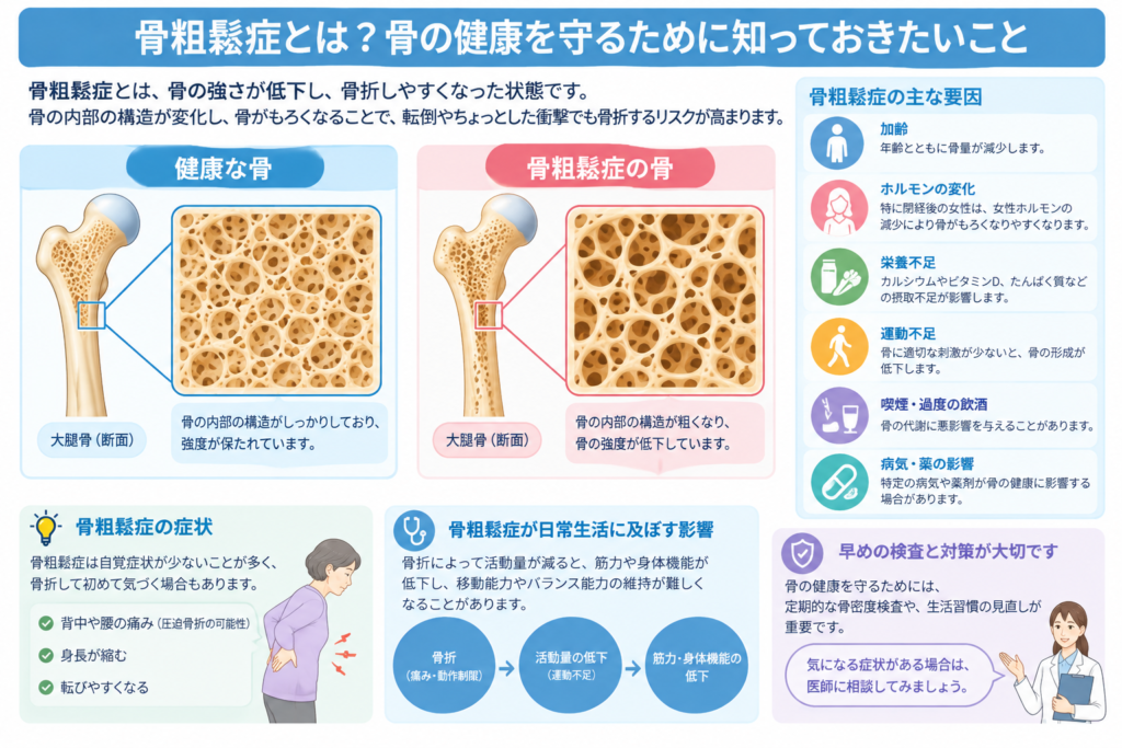 骨粗鬆症とは？骨の健康を守るために知っておきたいこと