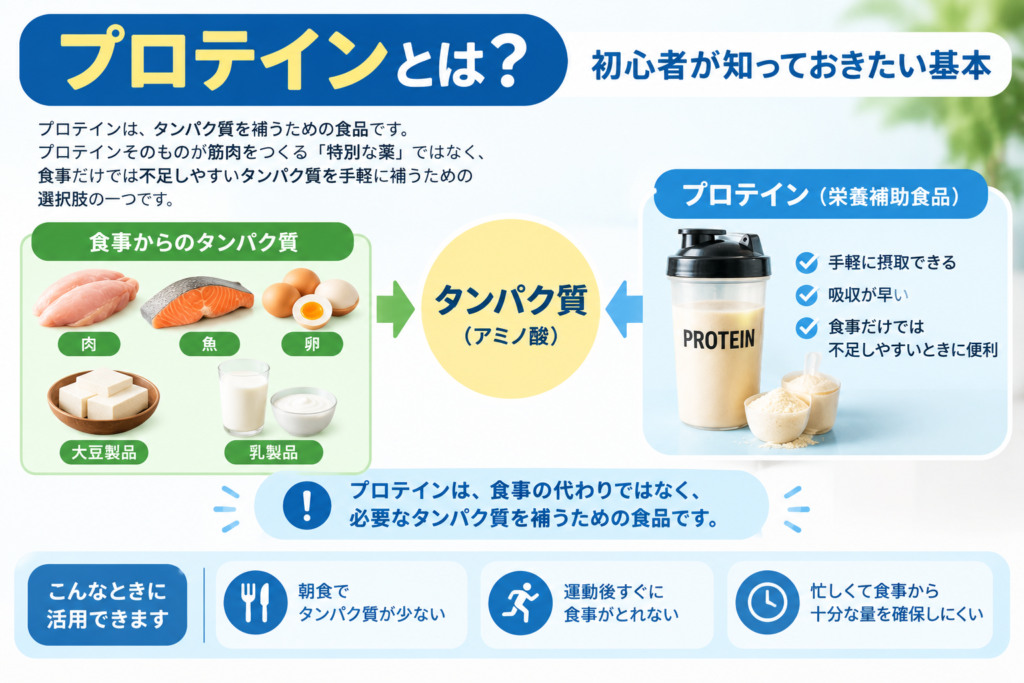 食事からのタンパク質とプロテインによる補給の関係を示した図